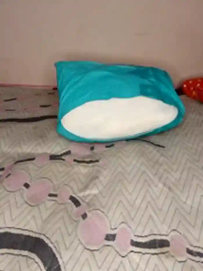 Sara_alasd