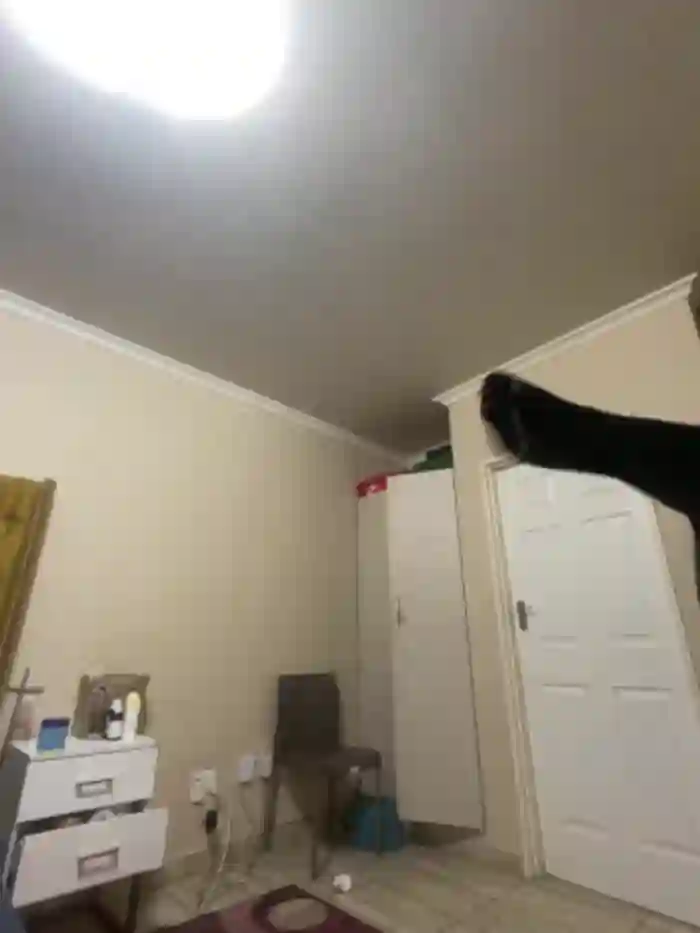 xXXSexyamazon