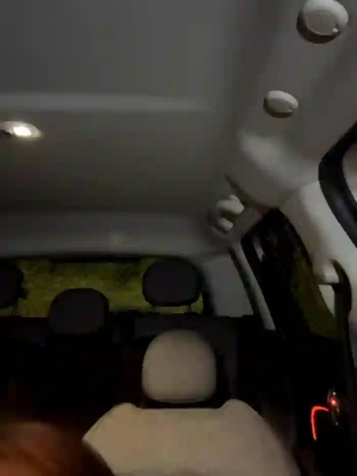DoriDeluxe66