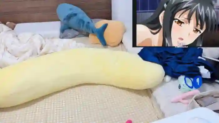 linko12334
