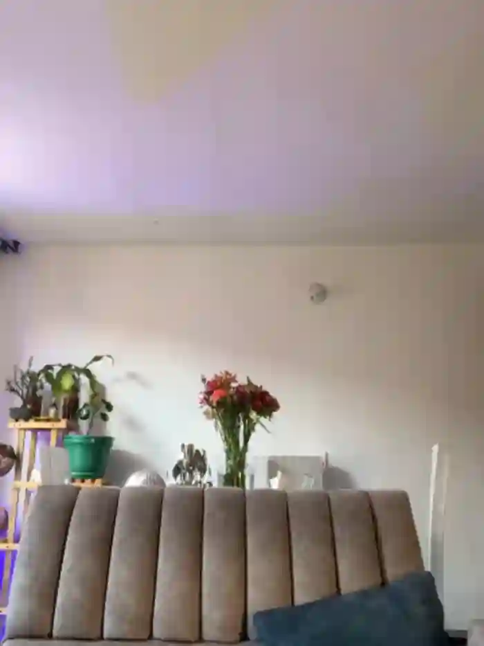 Eva_stark10
