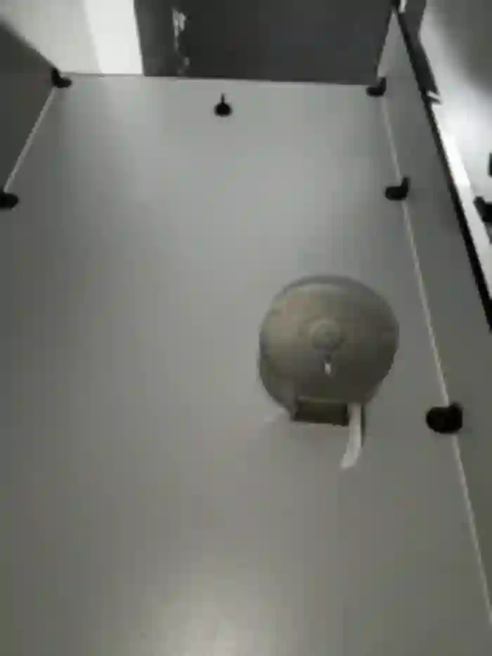 xiaoqiao_ss