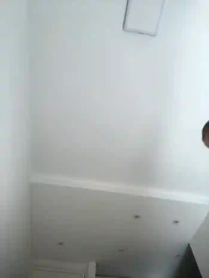 NicoleCut