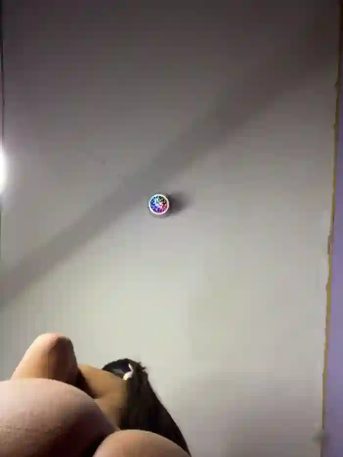 charlotte_stevenss_