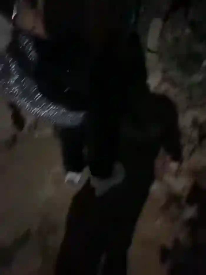 royalgirls_x