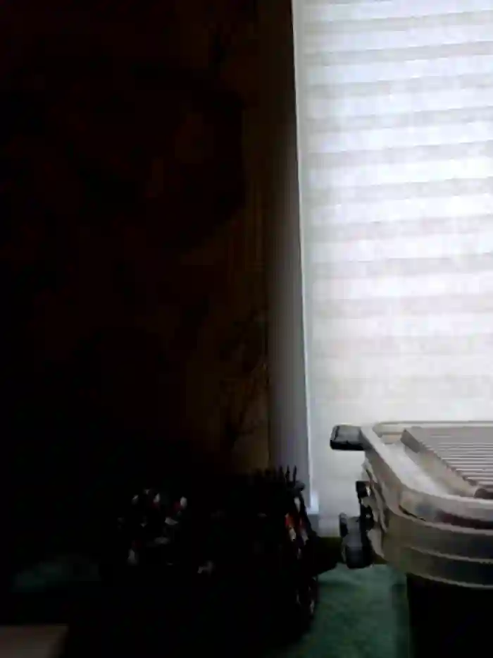 LazyTanukii