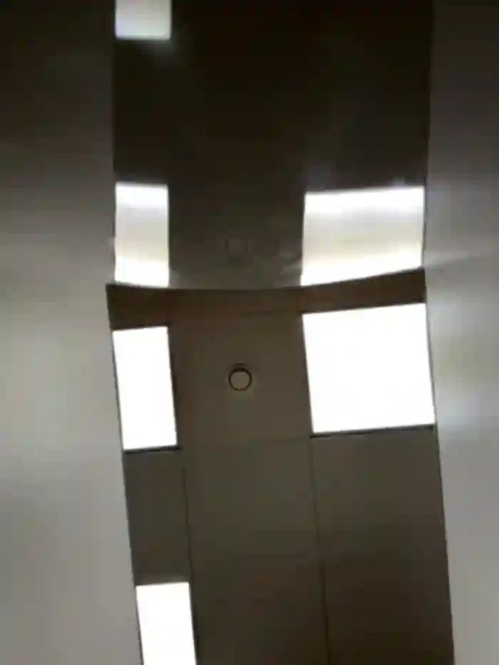 bambi_lu