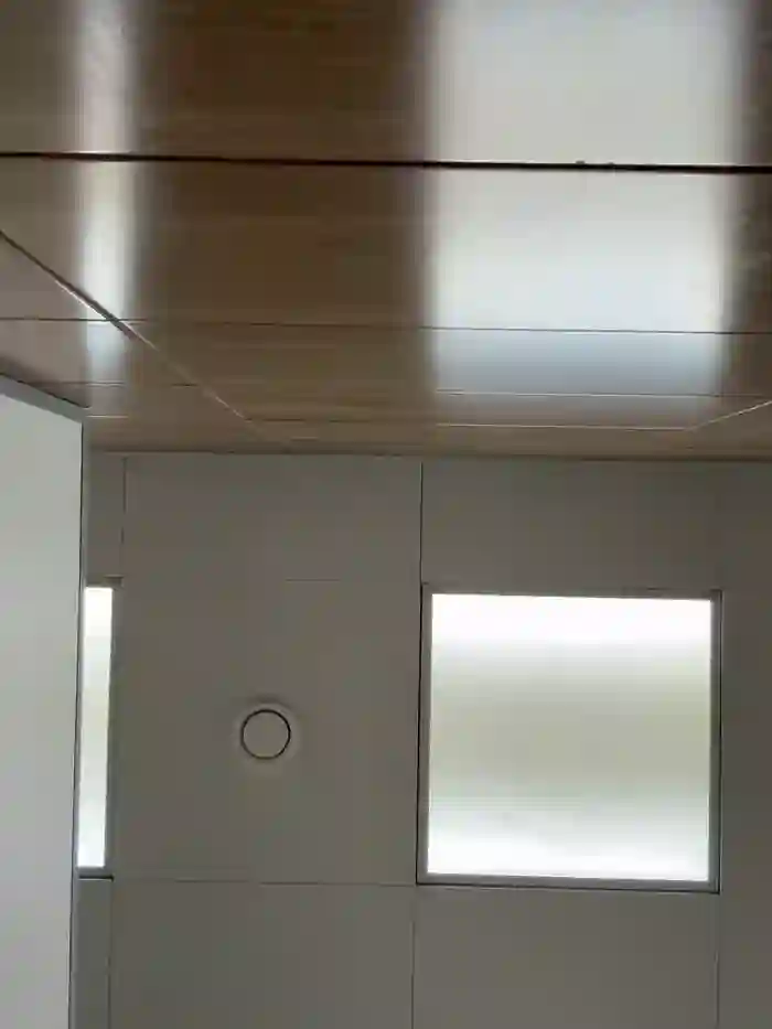 bambi_lu