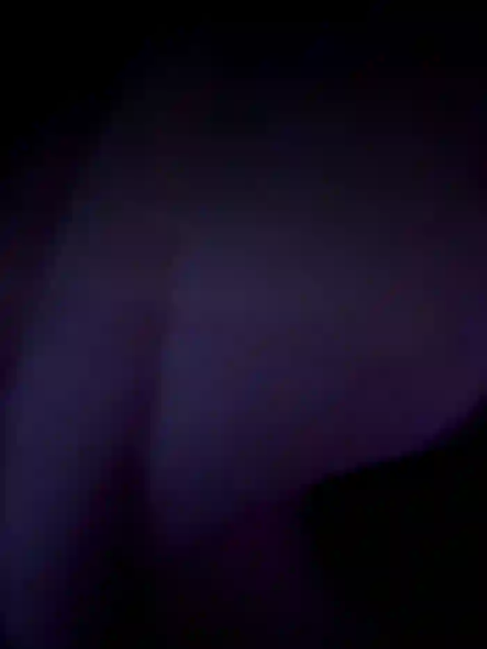 bambi_lu