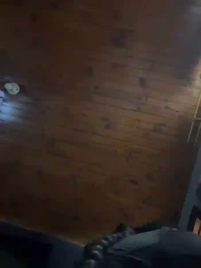charlotte_stevenss_