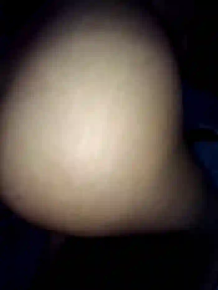 Queen_Daisy
