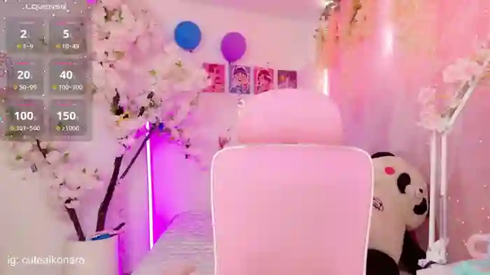 aikonany