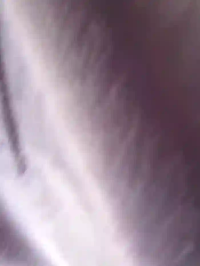 Jassy_Foxy