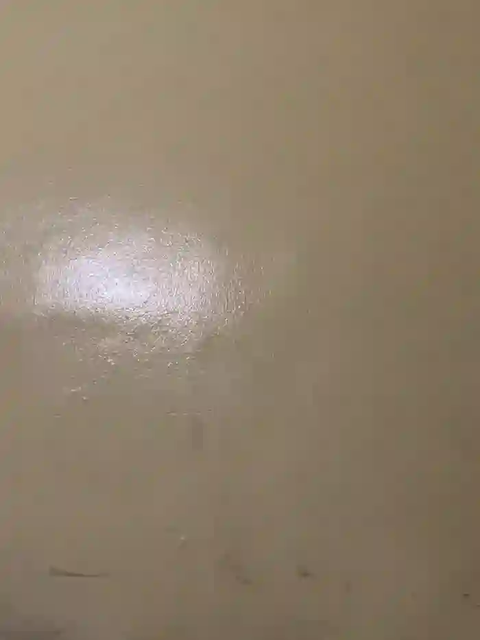 NeoleeLkr