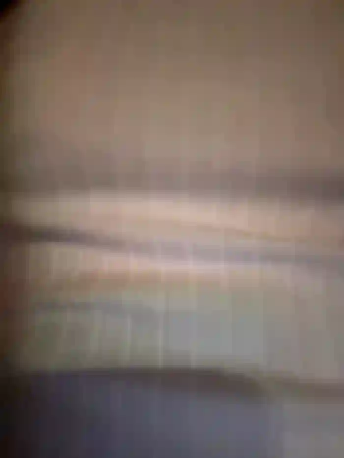 bambi_lu