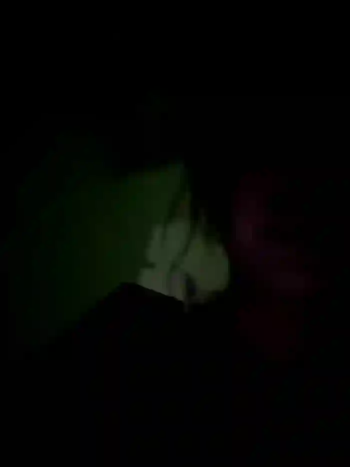 xiaoqiao_ss