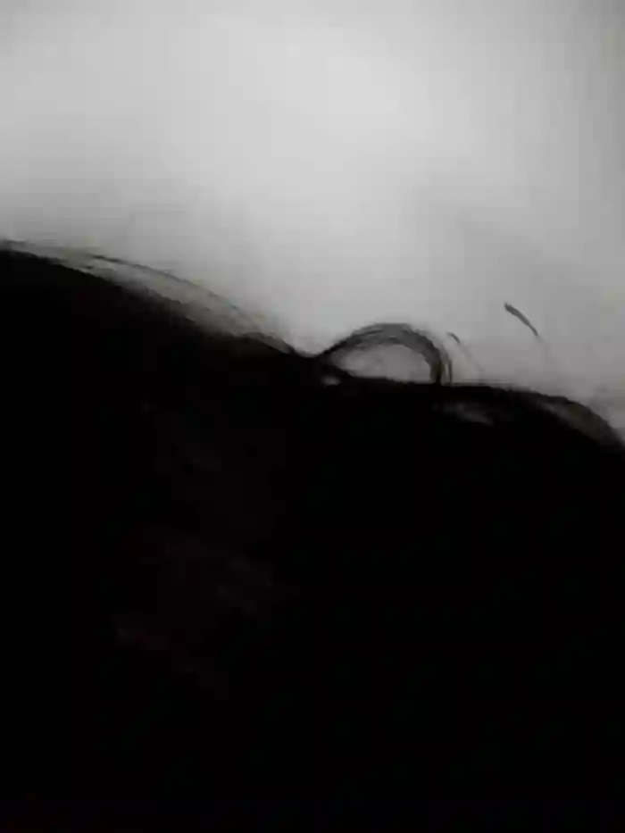 ElaRuil69