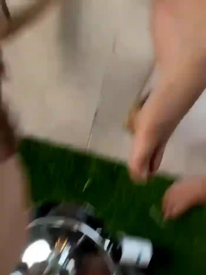 Alice_surprise