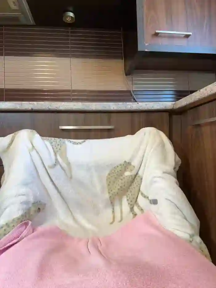 Hotmomcheckk_
