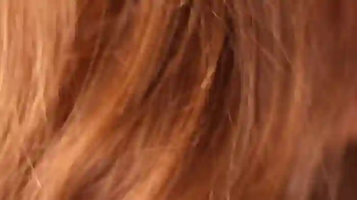 UdelaHathorne
