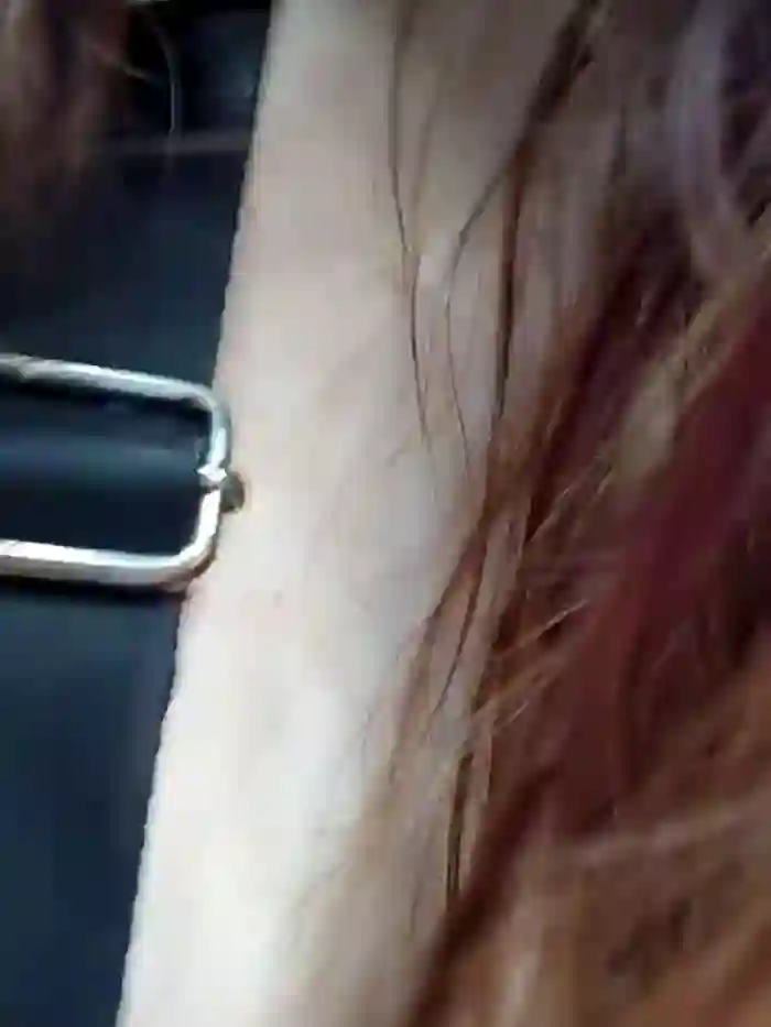 chenxin778