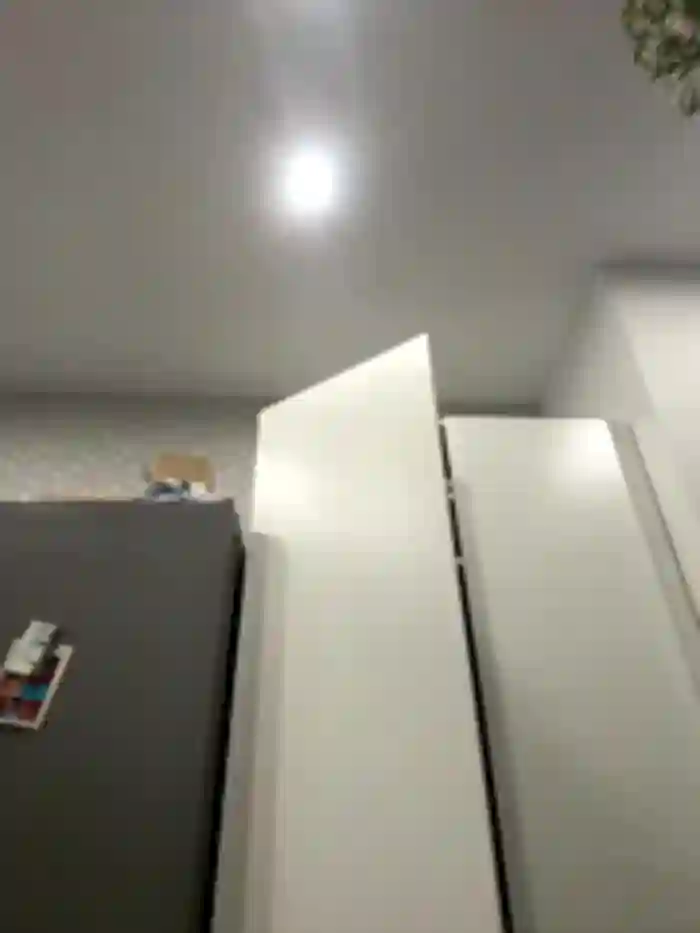 RinaCat