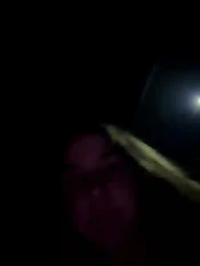 DoriDeluxe66