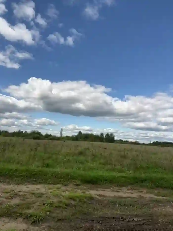 MiraReach