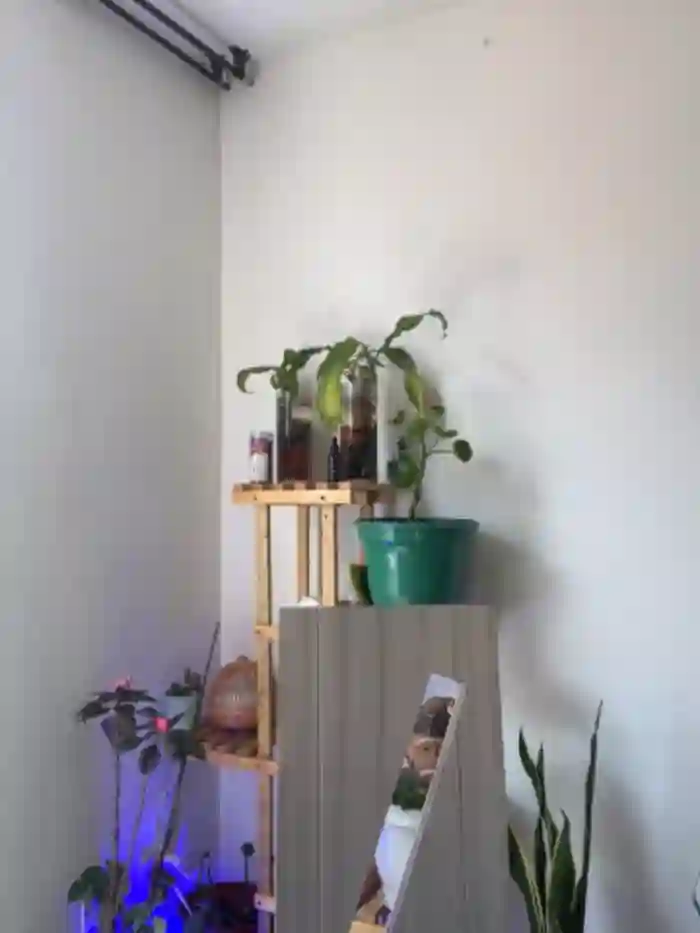 Eva_stark10