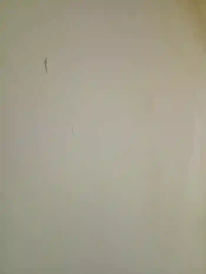 seloloko20