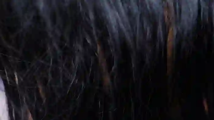 Ana_Maria11