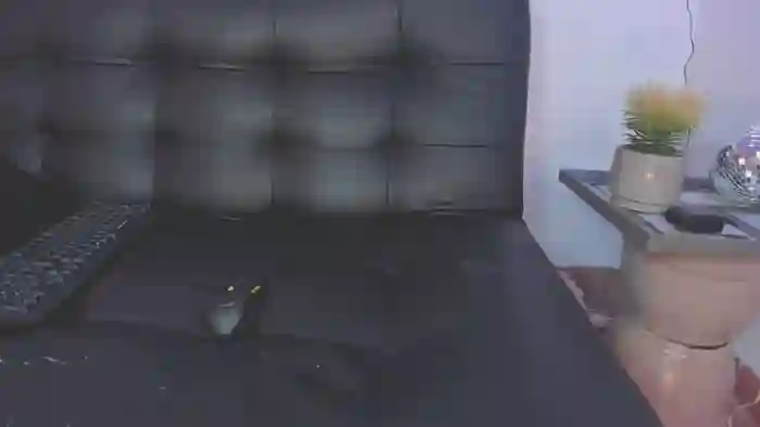 Nikkita_Dragon