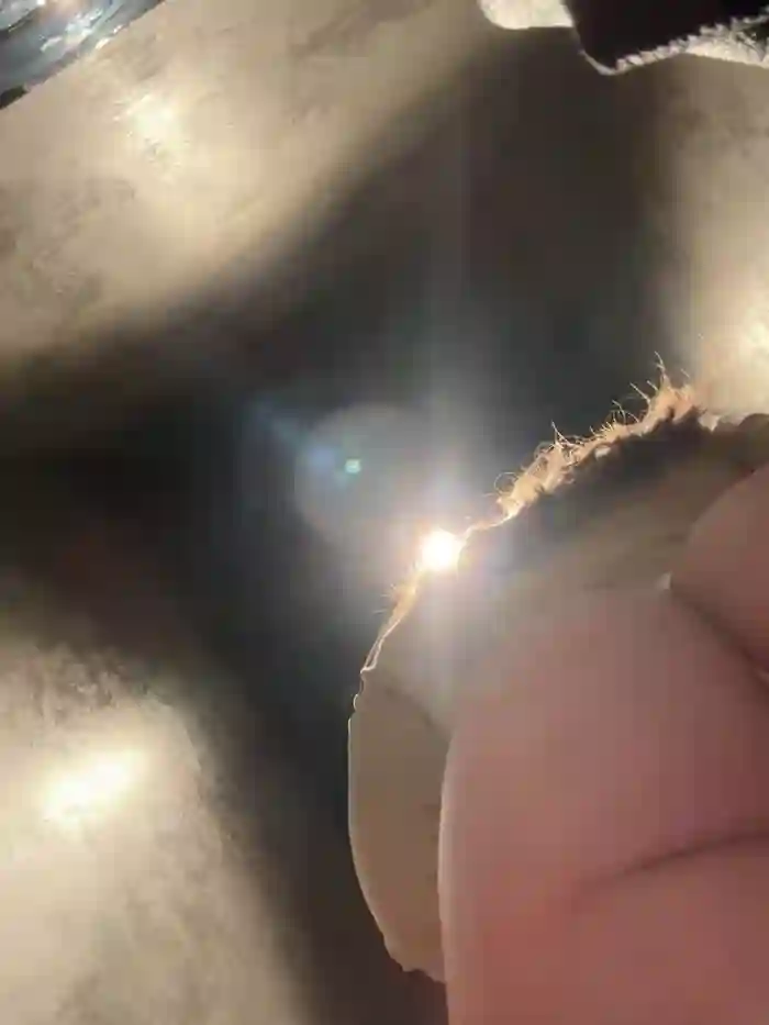 StephanieMur