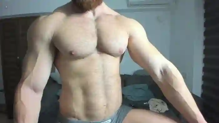 ZkkBlitz