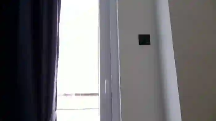 katt008