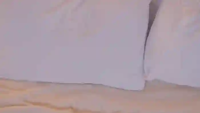 MeganStrain