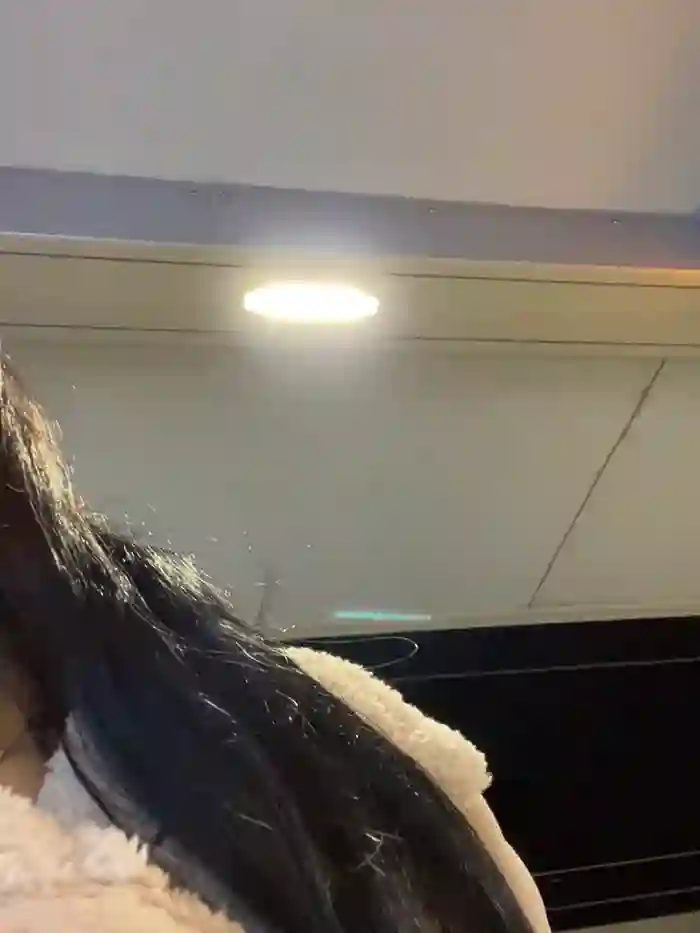 ilariea_girl
