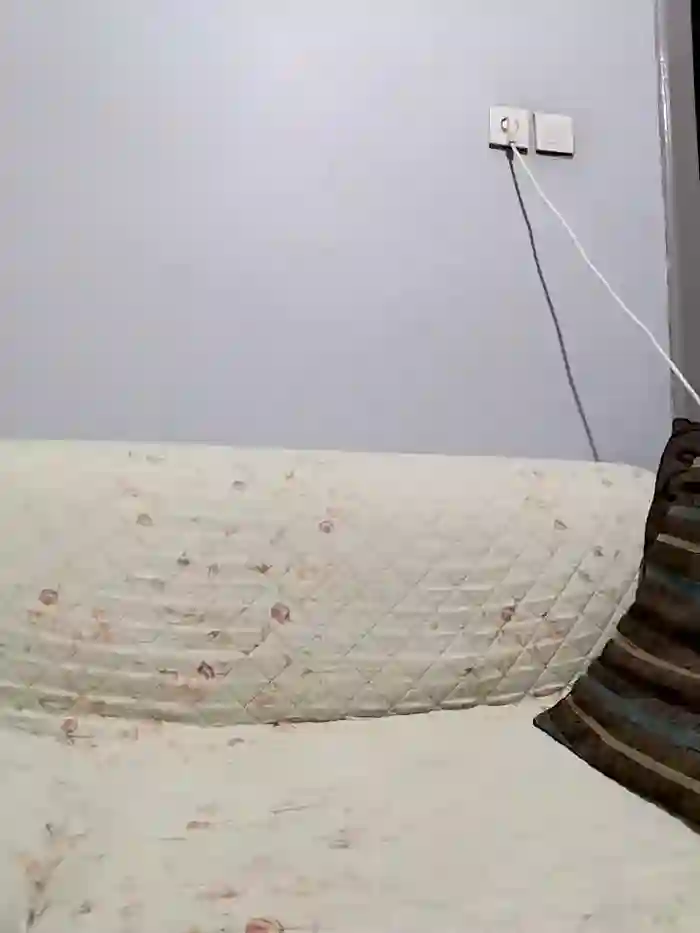 PalmedDwelling
