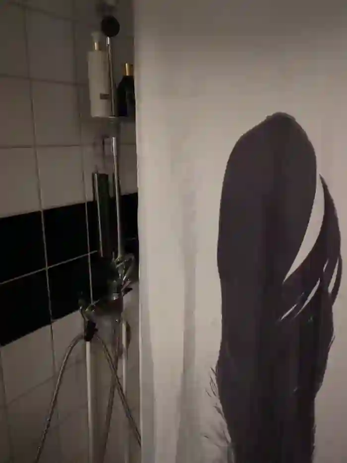 SwingWingWomanSweden