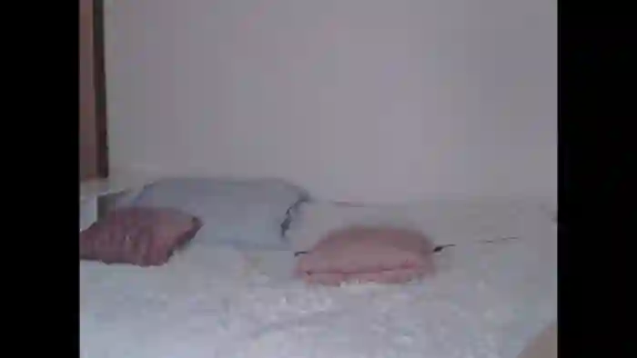 _Rapun_amelinamersi_