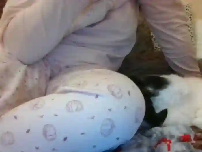 RealLittleRedRidingHood