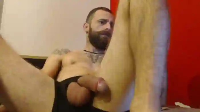 Albanian_Goat_WhiteHammer