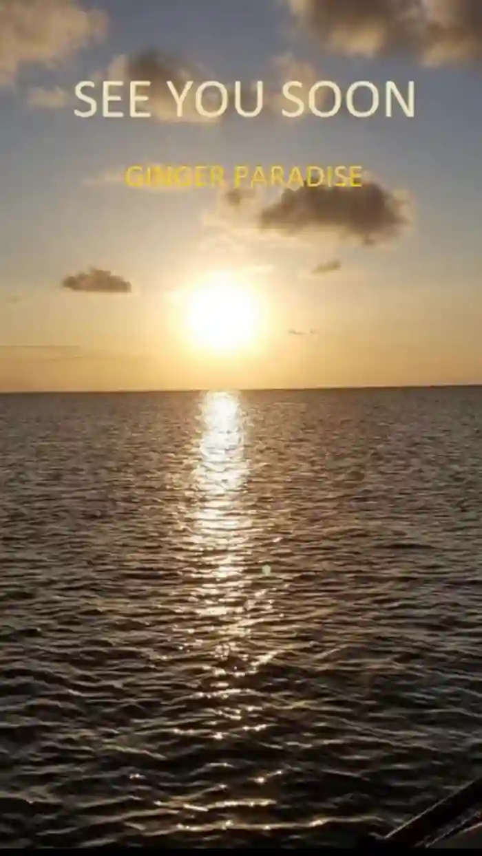 Ginger_Paradise