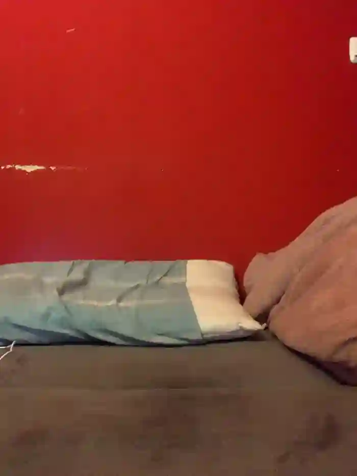 Albanian_Goat_WhiteHammer