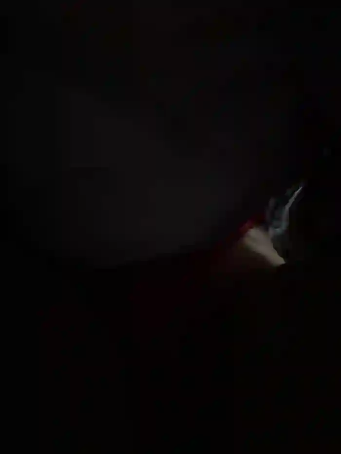 BallerinaCappuccino_