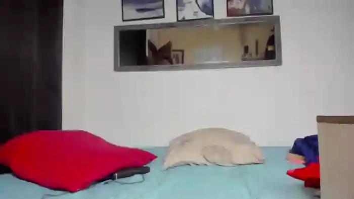 Complices_of_pleasure1